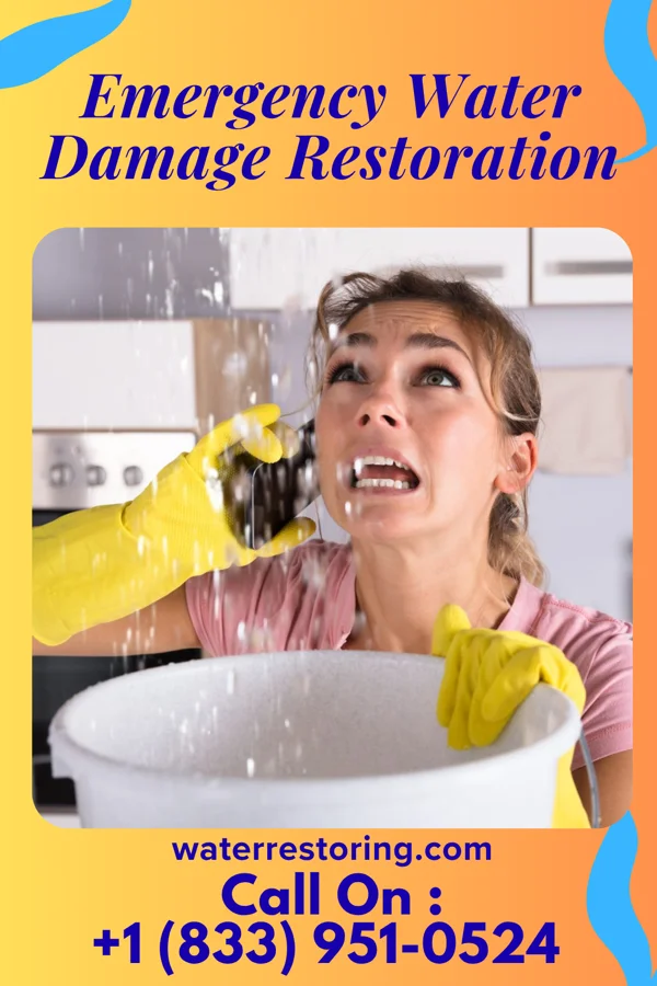 Emergency Water Damage Restoration in Leeds, UT